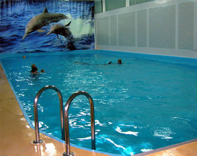 Поплавать дельфины, дельфином плавание, дельфин Москва плавание, дельфин Москва плавание бассейн, дельфины плаванье, плавание, дельфинарий плавание, дельфинарий плавать, дельфинарий поплавать...